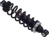 SP1 Center Gas Shock Assembly w Spring