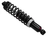 SP1 Center Gas Shock Assembly w Spring