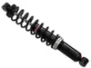 SP1 Rear Gas Ski Shock Assembly