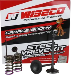 Wiseco Steel Intake and Exhaust Valve w Spring Kit