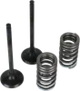 Wiseco Steel Intake and Exhaust Valve w Spring Kit