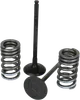 Wiseco Steel Intake and Exhaust Valve w Spring Kit