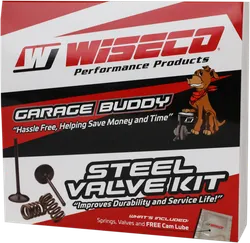 Wiseco Steel Intake and Exhaust Valve w Spring Kit