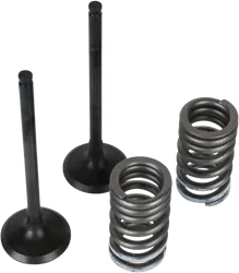 Wiseco Steel Intake and Exhaust Valve w Spring Kit
