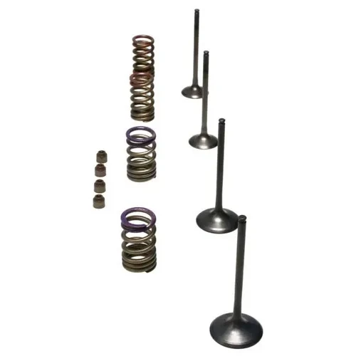 Wiseco Steel Intake and Exhaust Valve w Spring Kit 2