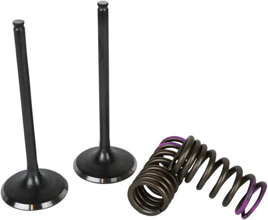 Wiseco Steel Intake and Exhaust Valve w Spring Kit