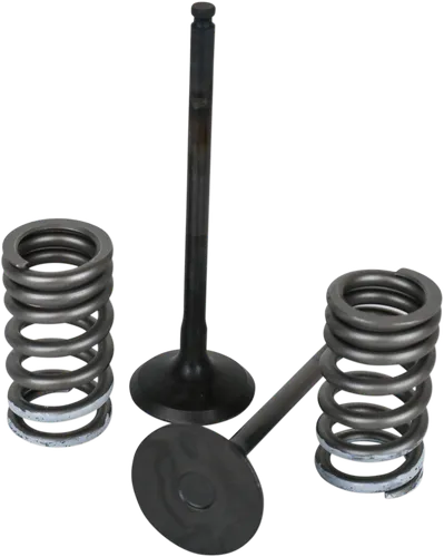 Wiseco Steel Intake and Exhaust Valve w Spring Kit