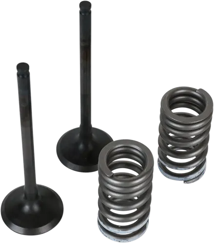 Wiseco Steel Intake and Exhaust Valve w Spring Kit