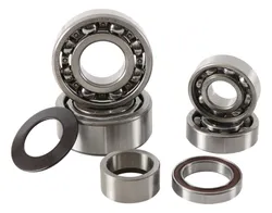 Hot Rods Transmission Bearing Rebuild Kit