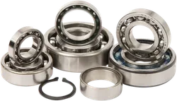Hot Rods Transmission Bearing Rebuild Kit