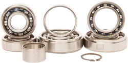 Hot Rods Transmission Bearing Kit