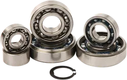 Hot Rods Transmission Bearing Rebuild Kit