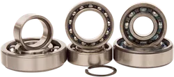 Hot Rods Transmission Bearing Kit