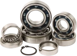 Hot Rods Transmission Bearing Kit