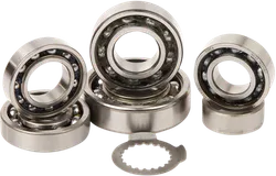 Hot Rods Transmission Bearing Kit
