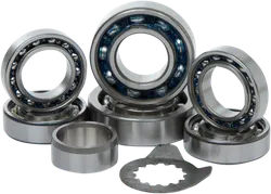 Hot Rods Transmission Bearing Rebuild Kit