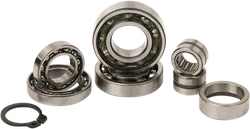 Hot Rods Transmission Bearing Rebuild Kit