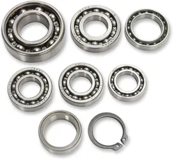 Hot Rods Transmission Bearing Kit