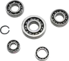 Hot Rods Transmission Bearing Kit for KX250