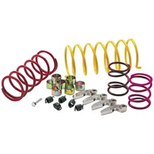 EPI Sport Utility Clutch Kit Polaris RZR 800