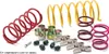 EPI Sport Utility Clutch Kit Polaris RZR 900