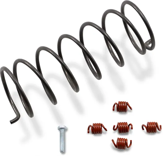 EPI Economy Clutch Kit Arctic Cat 375 And 400 1