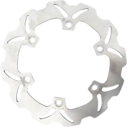 Braking W-Fix Rear Brake Rotor Disc Stainless