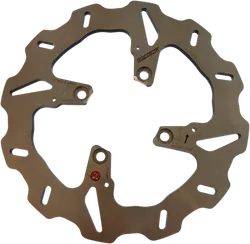 Braking W-Fix Rear Brake Rotor Disc Stainless