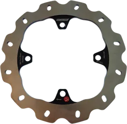 Braking W-Fix Rear Brake Rotor Disc Stainless