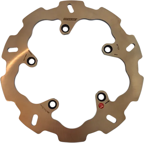 Braking W-Fix Rear Brake Rotor Disc Stainless