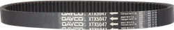 Dayco XTX Extreme Torque Drive Belt