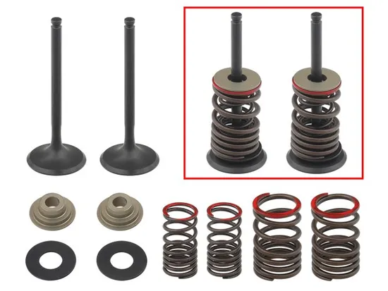 Psychic Exhaust Valve And Spring Kit