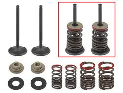 Psychic Exhaust Valve And Spring Kit