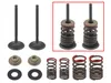 Psychic Exhaust Valve And Spring Kit