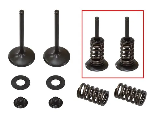 Psychic Intake Valve and Spring Kit 1
