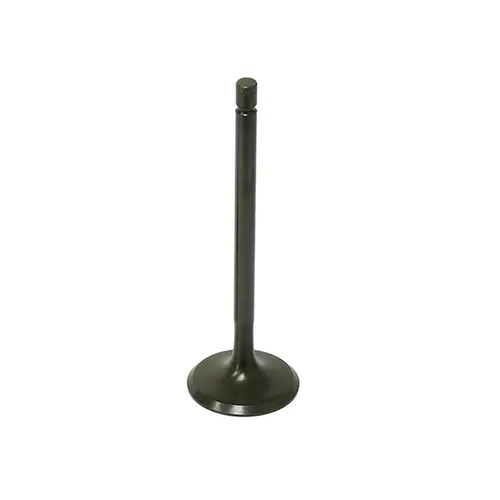 Bronco Steel Intake Valve