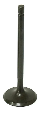 Bronco Steel Intake Valve