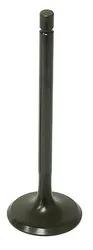Bronco Steel Intake Valve