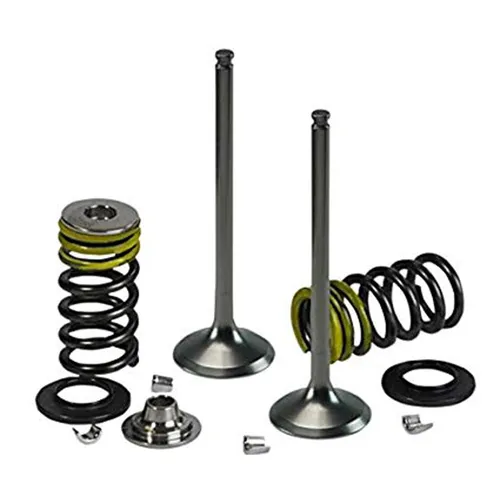 Psychic Exhaust Valve And Spring Kit 3