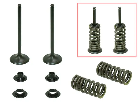Psychic Exhaust Valve And Spring Kit 1