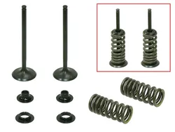 Psychic Exhaust Valve And Spring Kit