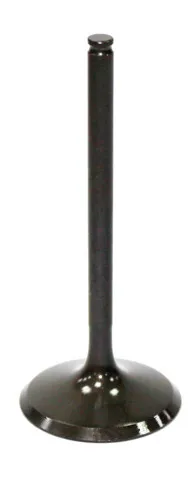 Bronco Steel Intake Valve 1