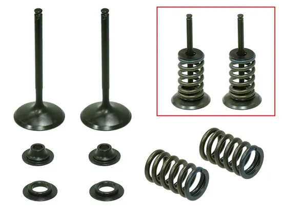 Psychic Steel Intake Valve Kit