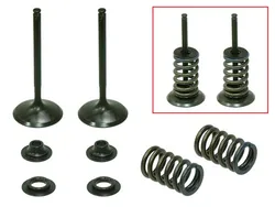 Psychic Steel Intake Valve Kit