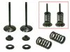 Psychic Steel Intake Valve Kit
