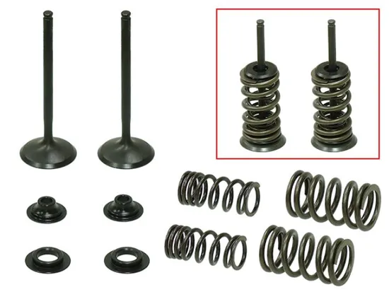 Psychic Steel Exhaust Valve Kit 1