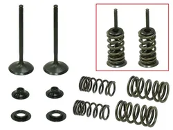 Psychic Steel Exhaust Valve Kit