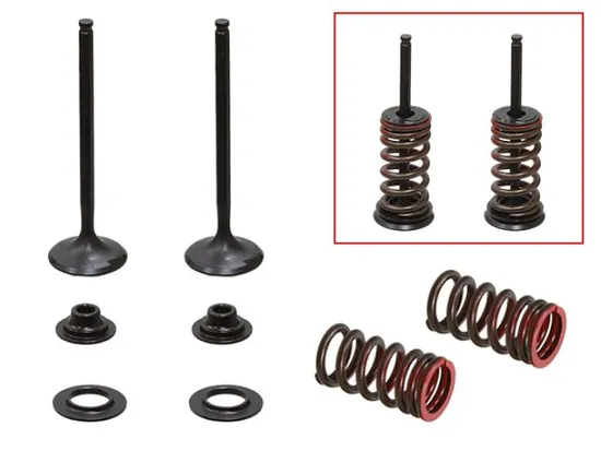 Psychic Exhaust Valve And Spring Kit 1