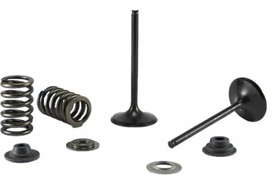 Psychic Exhaust Valve And Spring Kit 2