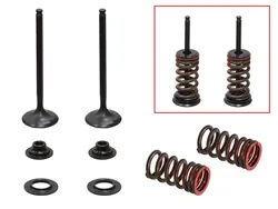 Psychic Exhaust Valve And Spring Kit